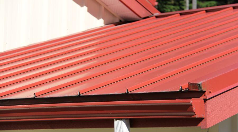 Gutter Debris Removal in Annandale, MN